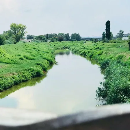 Spepera *
