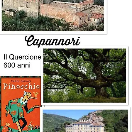 Spepera